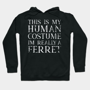 I'm Really A Ferret His Is My Human Costume Halloween Hoodie